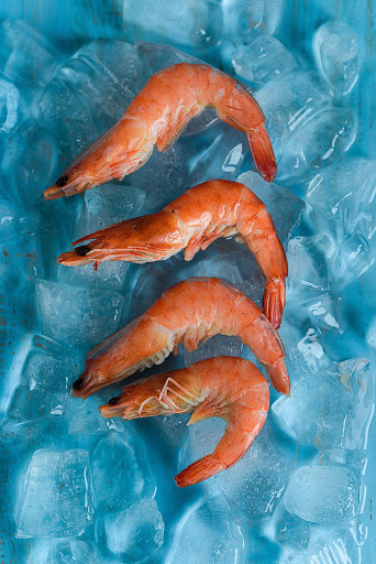 shrimp image