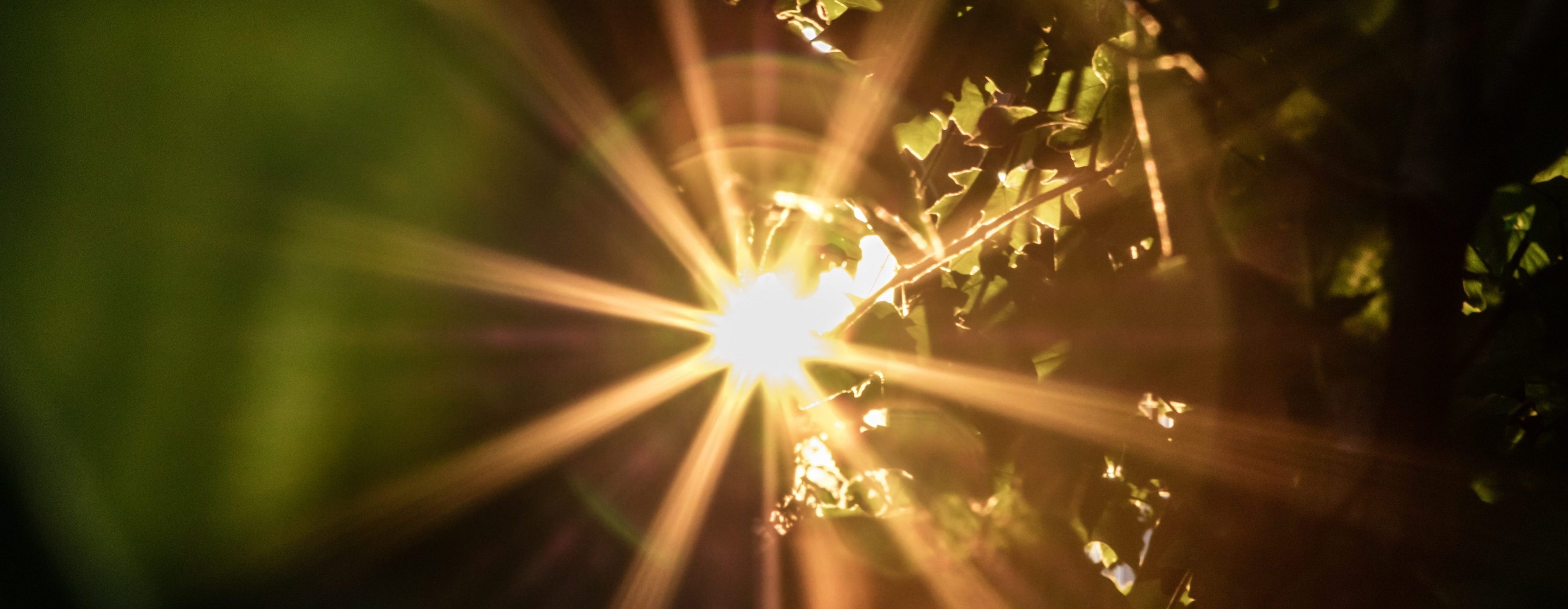 Light Sensitivity Lasik Surgery Shelly Lighting